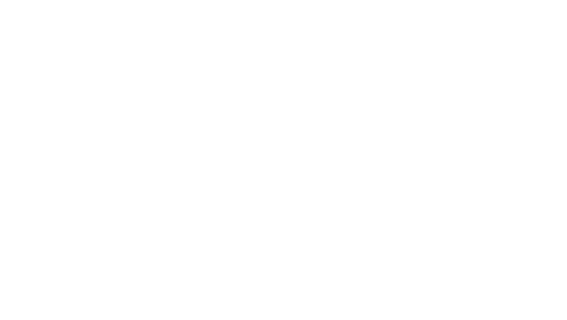 Logo Planet Promo